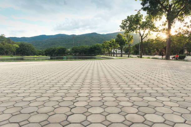 Best Paver Driveway Design  in Carnation, WA